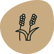 Product Range 8